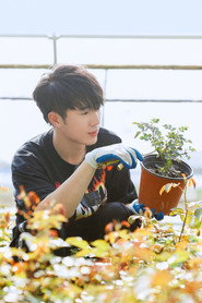 Lu Zhuo